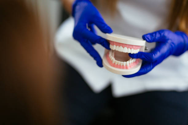 Best Traditional Braces  in Darrington, WA
